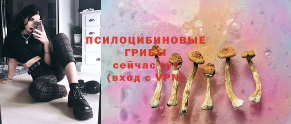 мет Аркадак